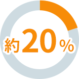 約20%